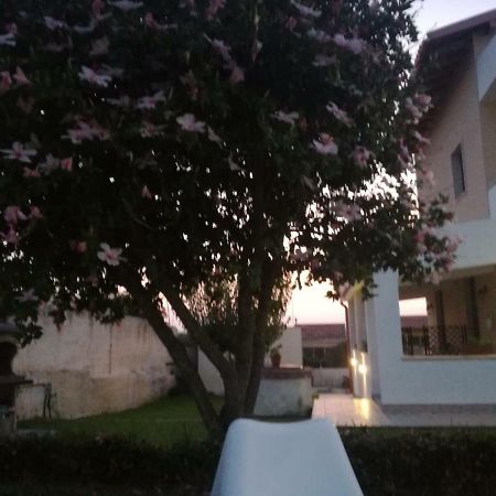 La Casa Delle Farfalle Bed & Breakfast Сиракуза Екстериор снимка