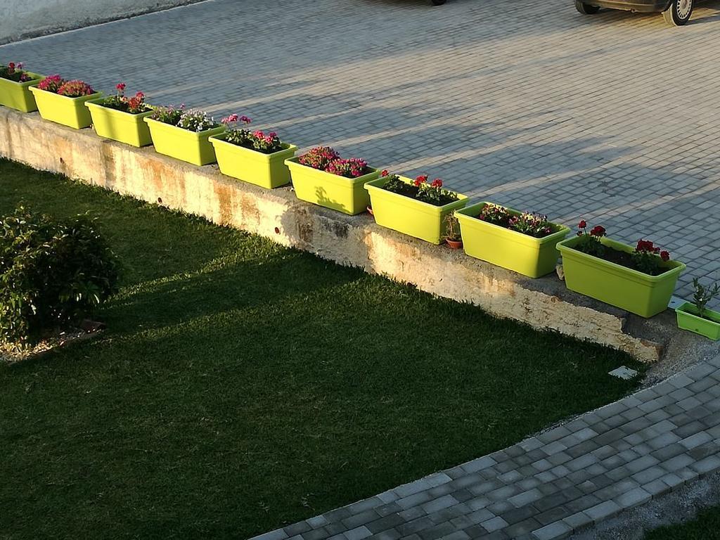 La Casa Delle Farfalle Bed & Breakfast Сиракуза Екстериор снимка