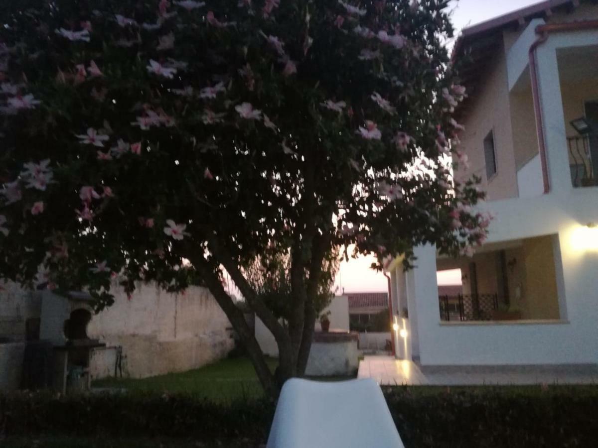 La Casa Delle Farfalle Bed & Breakfast Сиракуза Екстериор снимка
